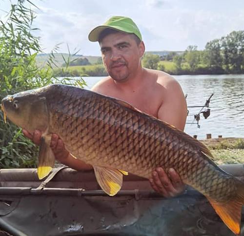 Foto Moldovan Bogdan