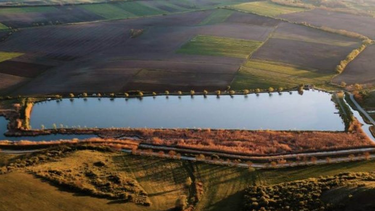 Carpodrom Transilvania