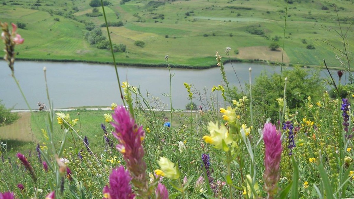 Lac Manic